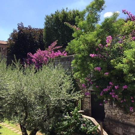 Appartement Le Finestre Sugli Ulivi à Desenzano del Garda Extérieur photo